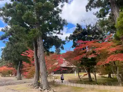 毛越寺(岩手県)
