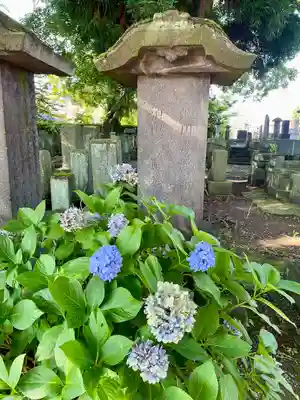 実成寺(福島県)