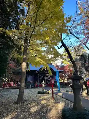 麻賀多神社奥宮(千葉県)