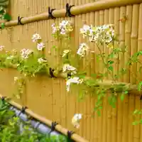 寿量山 速成寺の自然