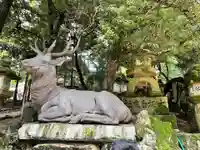 春日大社の狛犬