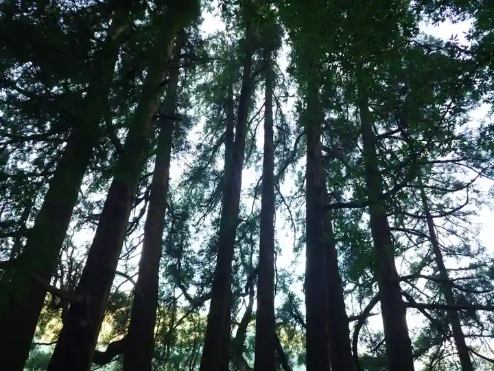 天岩戸神社(宮崎県)
