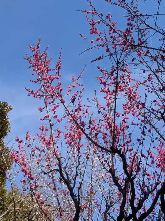 新井天神北野神社(東京都)