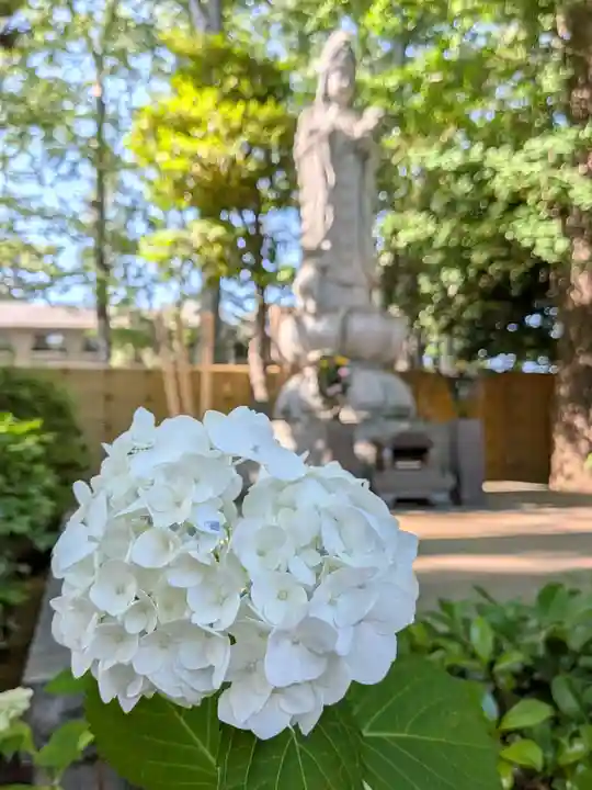 妙法寺(東京都)