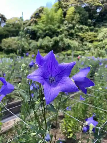 香勝寺(静岡県)