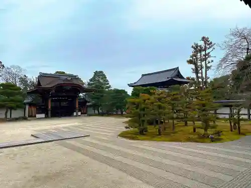 仁和寺の庭園