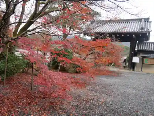 実相院門跡(京都府)