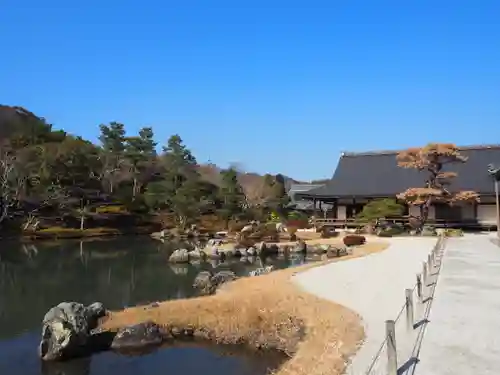 天龍寺の庭園