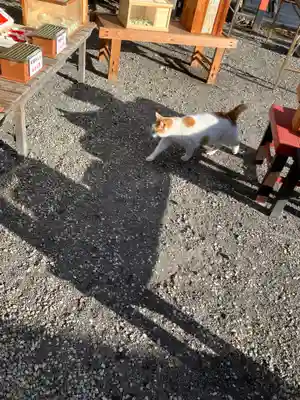 今市報徳二宮神社(栃木県)