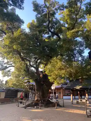 大聖観音寺（あびこ観音）(大阪府)