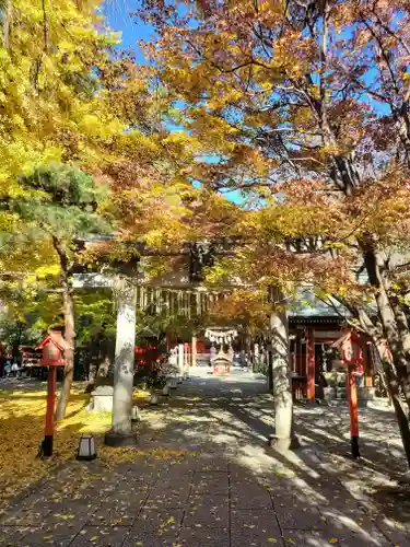 冠稲荷神社の鳥居