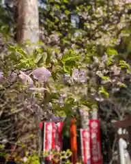 立志神社(滋賀県)