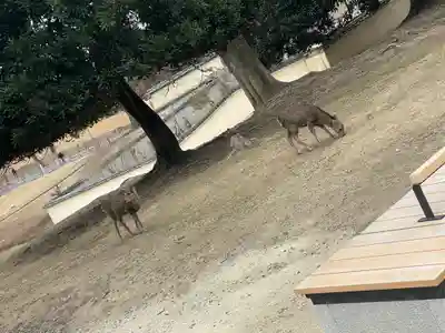 東大寺戒壇院戒壇堂(奈良県)