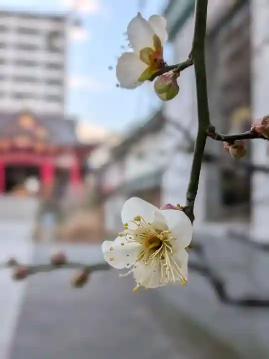 成子天神社(東京都)