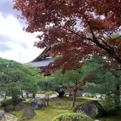 くろ谷 金戒光明寺の庭園