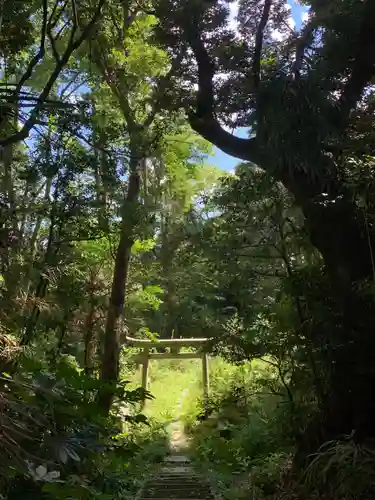 浅間神社の鳥居