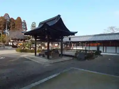 沙沙貴神社の手水舎