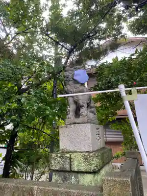 八雲神社（鎌倉・大町）の狛犬