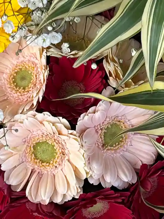 上尾御嶽神社の手水舎