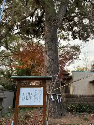 宗像神社(静岡県)