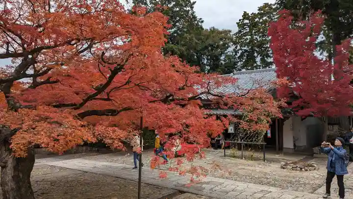 真正極楽寺(真如堂)(京都府)