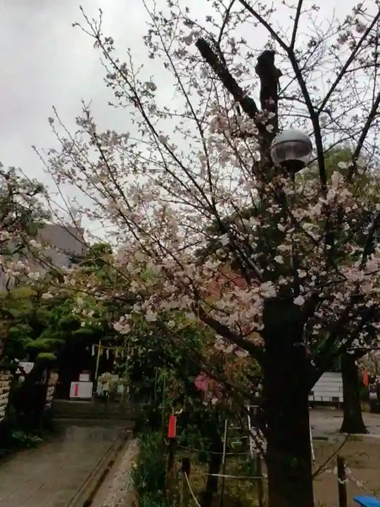 鳩森八幡神社(東京都)