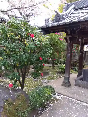 護国院(東京都)