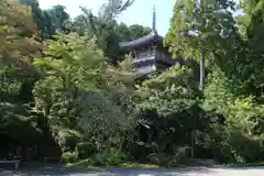 如意寺の塔