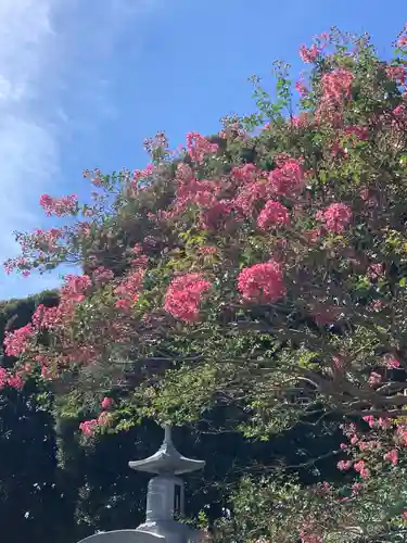 蓮久寺(千葉県)