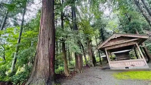 日枝神社(福井県)