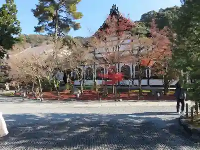 禅林寺(永観堂)のその他建物