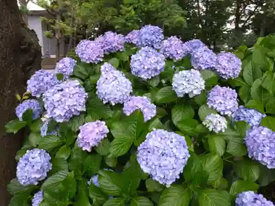 妙法寺(東京都)