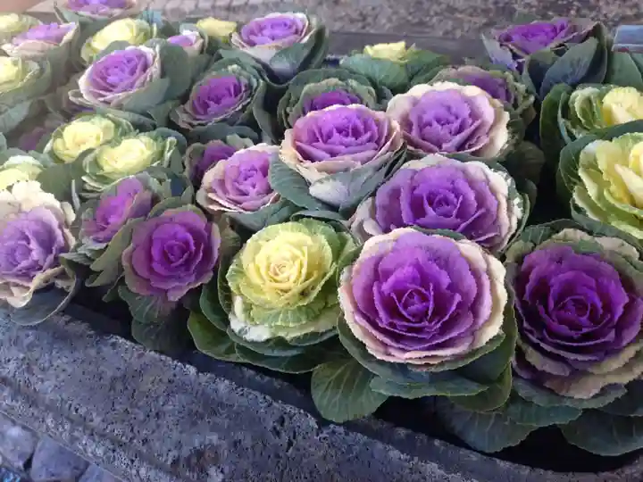 上目黒氷川神社(東京都)