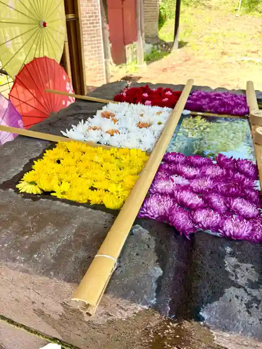 土津神社|こどもと出世の神さまの{uncategorized: "未分類", other: "その他", undefined: "問題あり", building: "その他建物", grave: "お墓", sacred_gate: "鳥居", guardian: "狛犬", statue: "像", buddha: "仏像", history: "歴史", nature: "自然", garden: "庭園", animal: "動物", pagoda: "塔", temizu: "手水舎", mountain_gate: "山門・神門", sanctuary: "本殿・本堂", subordinate: "末社・摂社", art: "芸術", scenery: "景色", jizo: "地蔵", ema: "絵馬", goshuin: "御朱印", omikuji: "おみくじ", items: "授与品その他", amulet: "お守り", goshuincho: "御朱印帳", eats: "食事", festival: "お祭り", votive_dance: "神楽", shichigosan: "七五三参", wedding: "結婚式", experience: "体験その他", initially: "初詣", around: "周辺", anti_infection: "感染症対策"}
