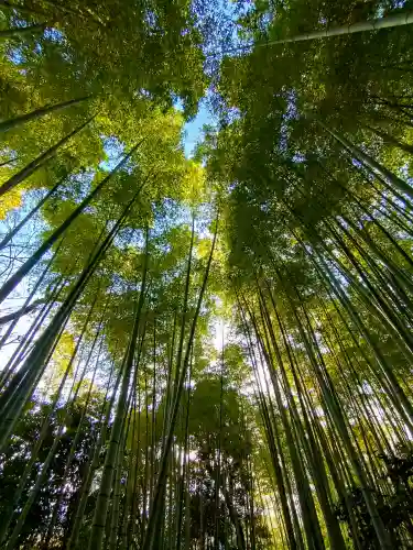 高台寺（高台寿聖禅寺・高臺寺）(京都府)