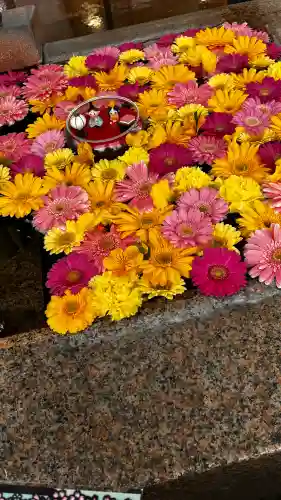 金峯神社の{uncategorized: "未分類", other: "その他", undefined: "問題あり", building: "その他建物", grave: "お墓", sacred_gate: "鳥居", guardian: "狛犬", statue: "像", buddha: "仏像", history: "歴史", nature: "自然", garden: "庭園", animal: "動物", pagoda: "塔", temizu: "手水舎", mountain_gate: "山門・神門", sanctuary: "本殿・本堂", subordinate: "末社・摂社", art: "芸術", scenery: "景色", jizo: "地蔵", ema: "絵馬", goshuin: "御朱印", omikuji: "おみくじ", items: "授与品その他", amulet: "お守り", goshuincho: "御朱印帳", eats: "食事", festival: "お祭り", votive_dance: "神楽", shichigosan: "七五三参", wedding: "結婚式", experience: "体験その他", initially: "初詣", around: "周辺", anti_infection: "感染症対策"}