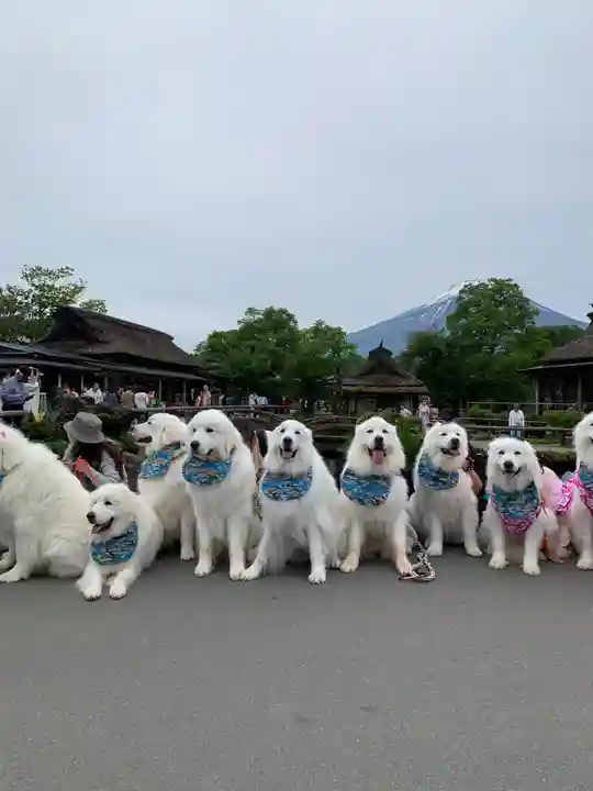 淺間神社(忍野八海)(山梨県)
