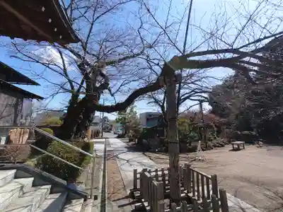安楽寺(神奈川県)