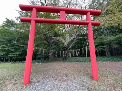 稲荷神社の鳥居