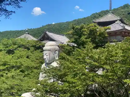 南法華寺（壷阪寺）(奈良県)