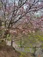 厚別神社(北海道)