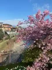 長円寺(京都府)