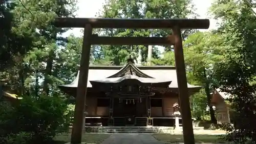 大井神社の鳥居