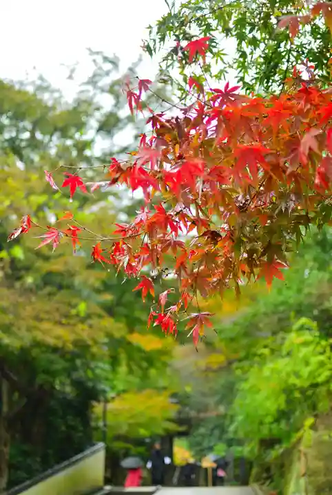 円覚寺(神奈川県)