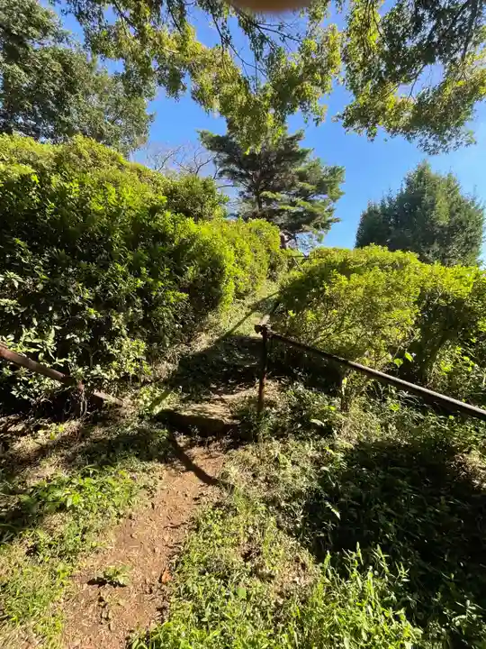 武州白子熊野神社の周辺