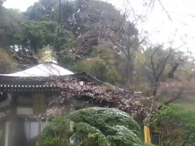 長勝寺のその他建物