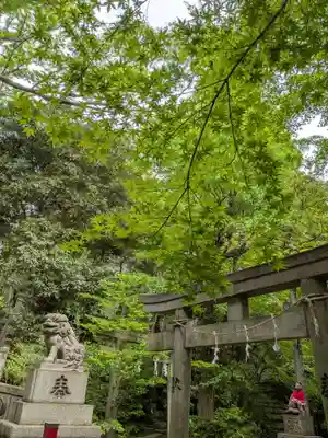 赤坂氷川神社(東京都)