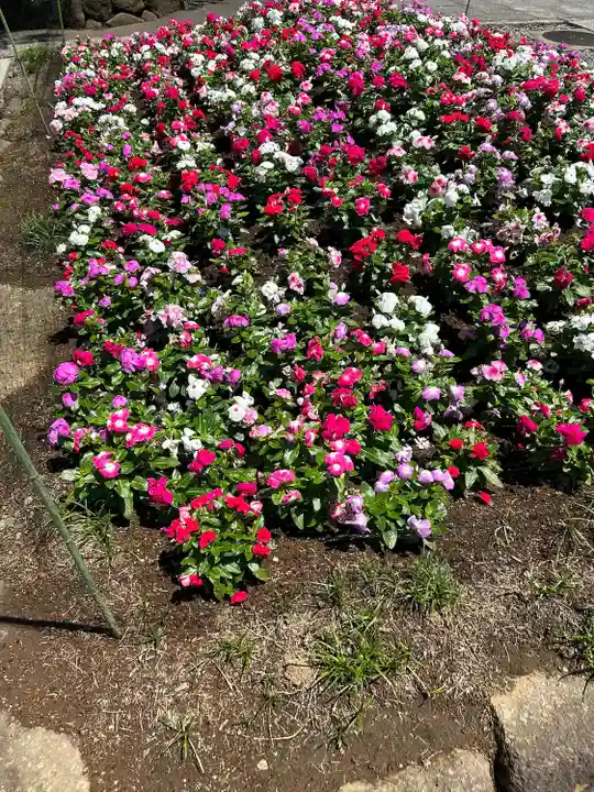 西新井大師総持寺(東京都)