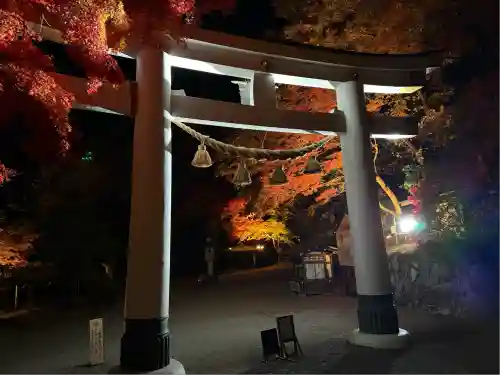宝登山神社(埼玉県)