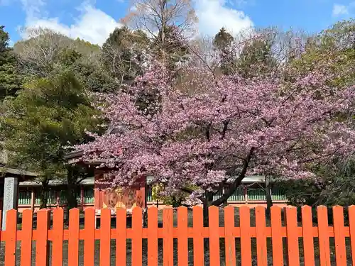 富士山本宮浅間大社(静岡県)